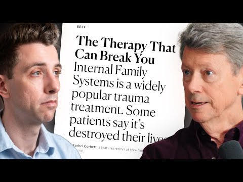 The Therapy Wars: Science, Self-Help, and that IFS Article | Being Well