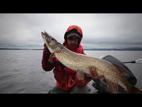Ловля щуки ! Подводные кадры. Рыбалка с лодки.