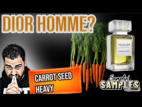 🥕 Oriental Express (Extreme) von Thierry Mugler | Samplin' Samples KAROTTENSAMEN / SANDELHOLZ / REIN