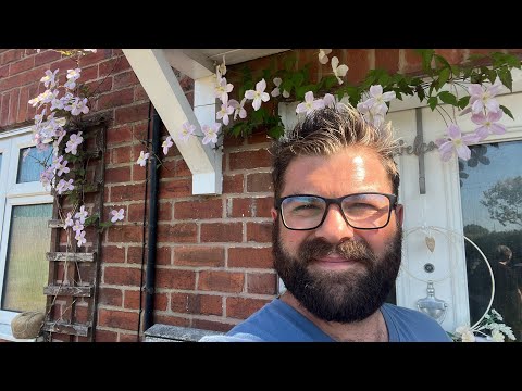 Best climber for beginners. 🌱Clematis Montana #cottagegarden