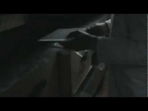 8/8 Familie de albine super dezvoltata in primavara in "Bio Stup - Ioan Ursu" pavilion apicultura