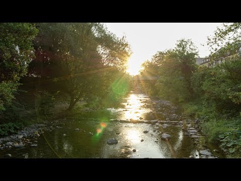Sunset at the river Dreisam (Freiburg) | Aerial (4K)