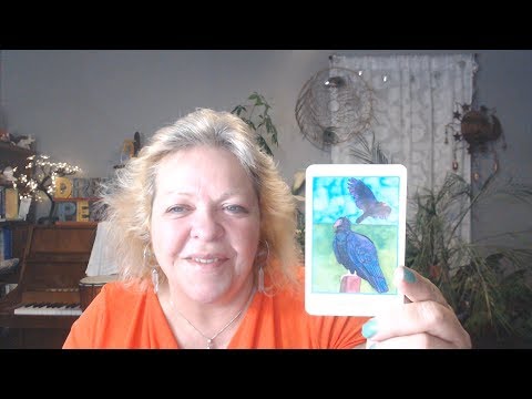 Your Daily Focus for October 9, 2019 - Tarot - Astrology - Numerology