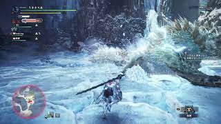 ［珍珍亭］モンハン実況　氷地獄　2020っす！