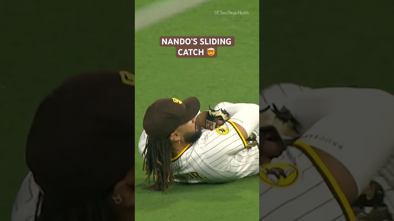 No one’s doing it like Nando #mlb #highlights #fernandotatisjr #padres