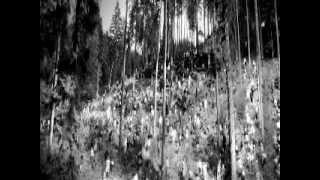 &quot;Knock Loud&quot; - Neko Case (Antichrist Music Video)