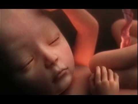 download lagu mp3 mp4 Odyssée De La Vie, download lagu Odyssée De La Vie gratis, unduh video klip Odyssée De La Vie