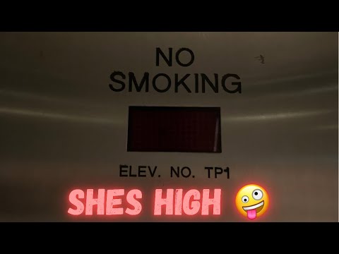 Drunk Minnesota/KONE Hydraulic Elevator | MGM Grand Monorail Station | Las Vegas, NV