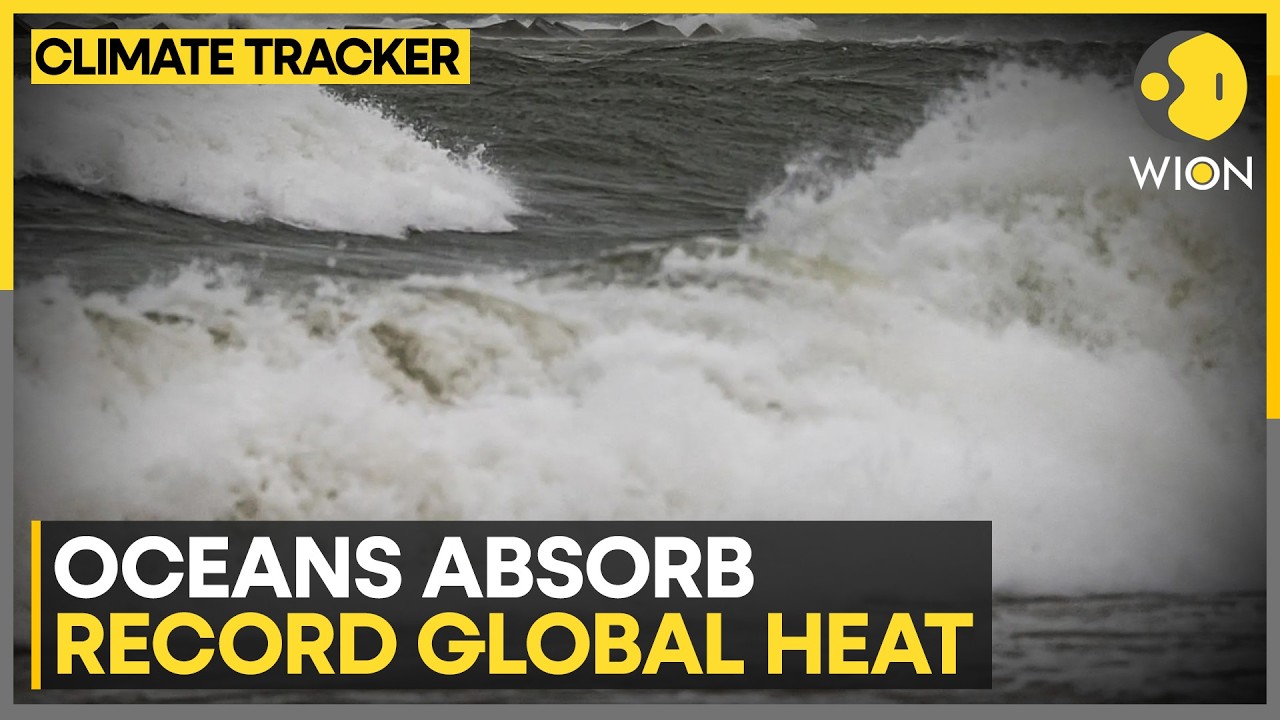 Marine Heatwaves Expand Across Global Oceans | WION Climate Tracker