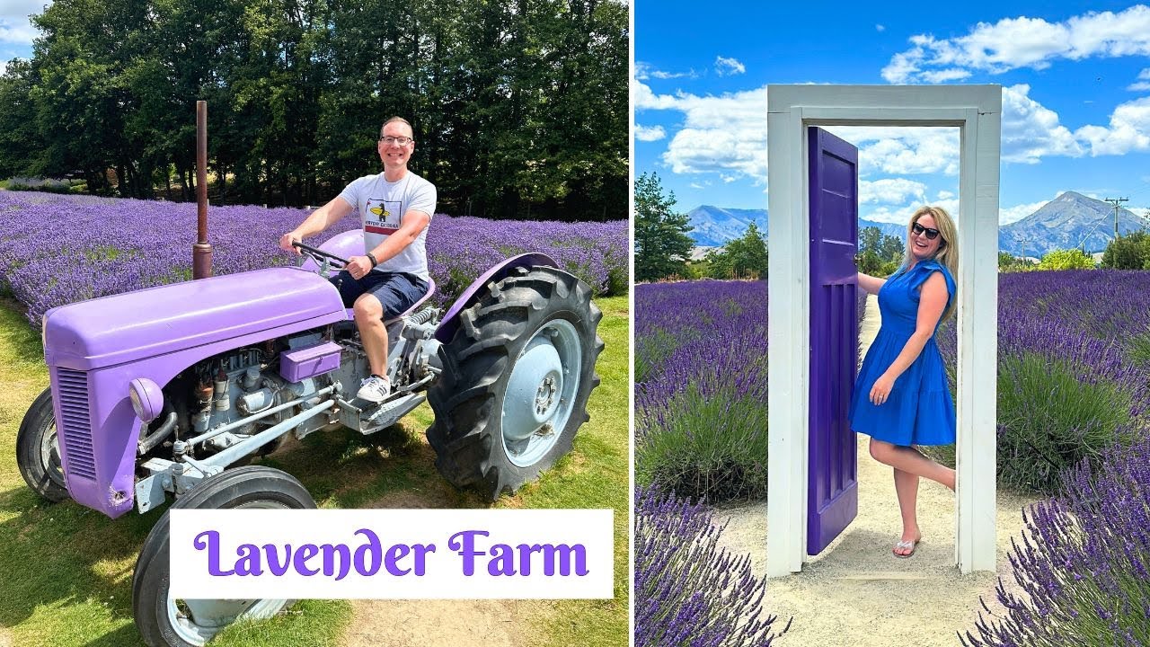 Join a duo as they embark on a visit to Wanaka Lavender Farm.