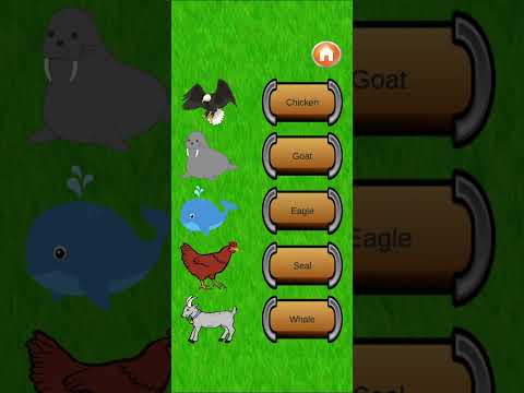 Animal App video thumbnail