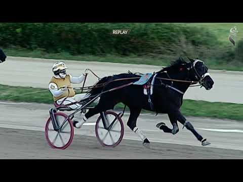 Aversa trotto 2 Gennaio 2021- 4° Corsa