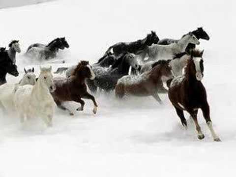 Valeriu Sterian -- Amintire cu haiduci