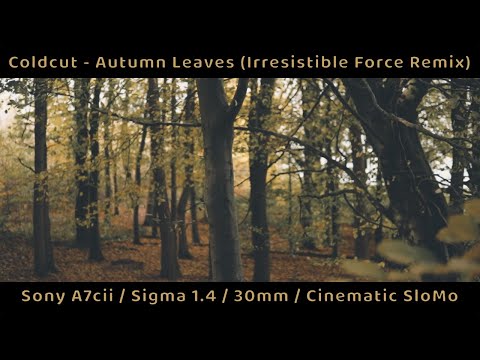 Cinematic Test | Sony A7c ii | Sigma f1.4/30mm | Coldcut - Autumn Leaves (Irresistible Force Remix)