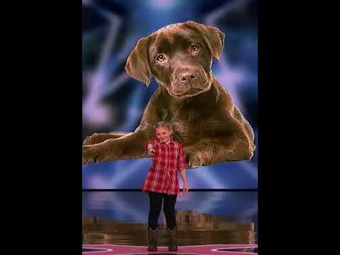 Lily Wilker: 11-Year-Old Unique Animal Impressionist Delights The Judges On AGT ! FMTP TV ! #shorts