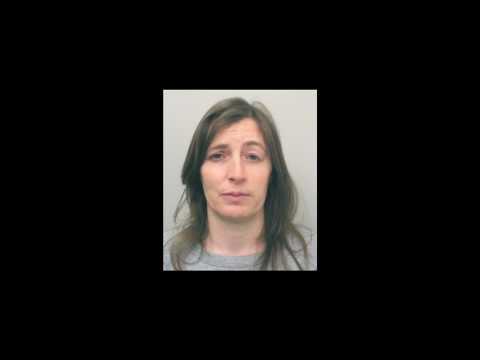 [Wikipedia] Kill Sadie