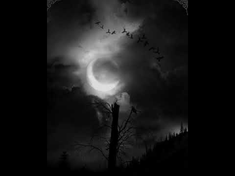 Goth is my subculture I adore