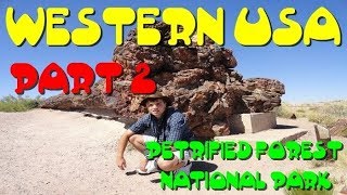 preview picture of video 'Western USA- Part 2/4 (PETRIFIED FOREST)'