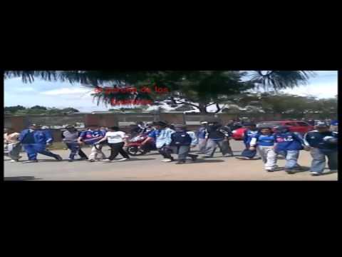 Las gallinas mas faranduleras (millonarios)