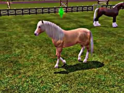jeux mon cheval virtuel gratuit pc