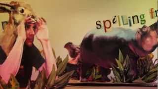 Michael Zapruder - Florida