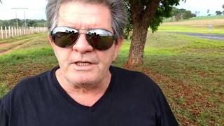 Conheça a deliciosa castanha Barú do Brasil