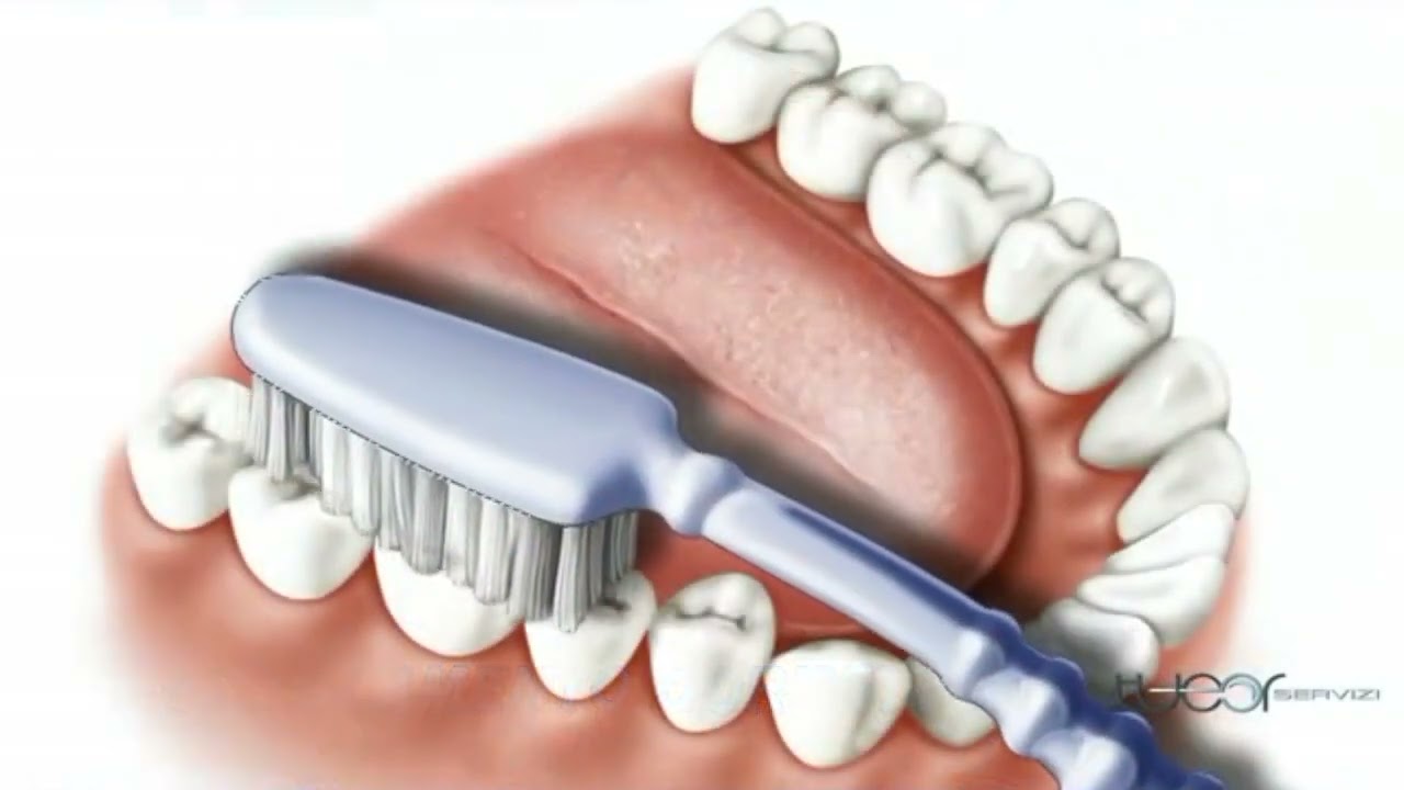 I denti hanno tanti lati