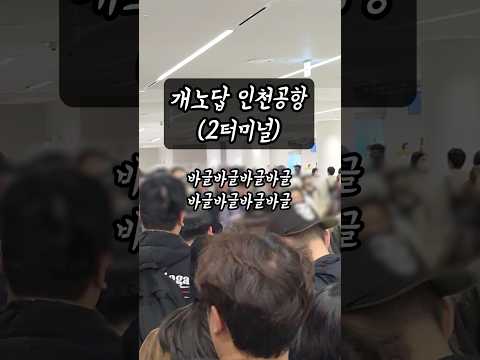 긴 터미널과 출구까지의 여정: 해결되지 않는 고충