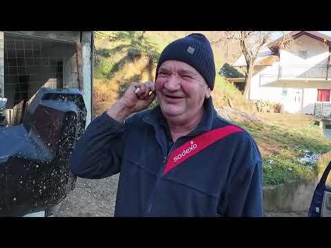 Koze su me uništile,ne bih više kozu nikada kupio