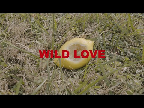 Wild Love - Bitter (Official Music Video)
