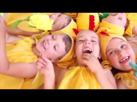 NOTIŅAS - Cip Cip Cālīši 2012 PILNĀ VERSIJA