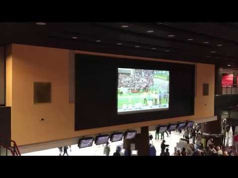 real-カビゴン競馬　秋華賞2016　in　東京競馬場