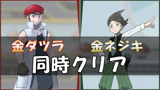 金ネジキと金ダツラ同時にシバく　part 1 【ポケモンプラチナ/エメラルド】