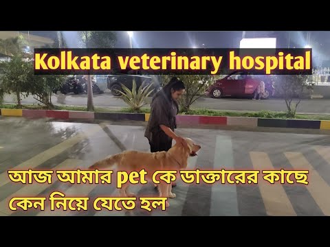 Aj amr pet k niya hospital jete holo🥲26/02/24