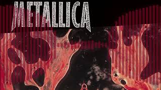 Metallica - Poor Twisted Me