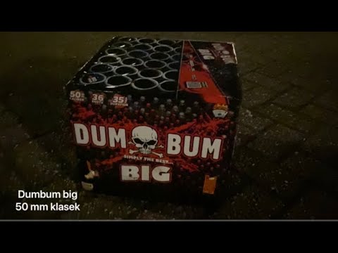 DumBum big 50mm klasek C365DU