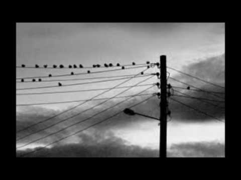 Jodido Velezano - Triste Atmósfera