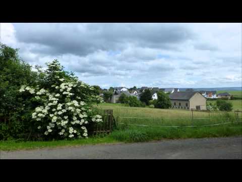 Rheinsteig 2013_Von Filsen nach Kestert_1080