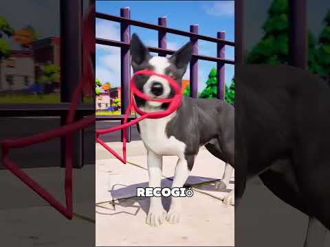 Este Dueño Probó A Su Perro Estricto 😯❤️