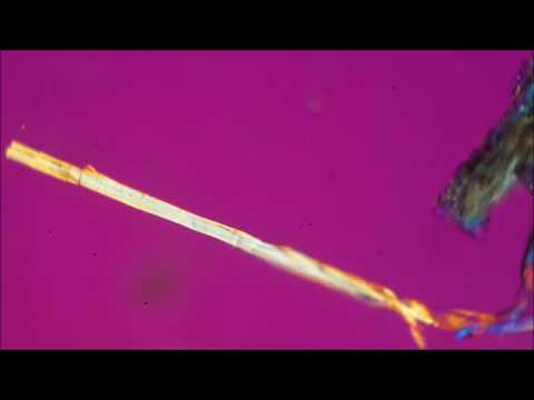 Materialanalyse am Polarisations-Mikroskop