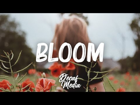 Dabin - Bloom ft. Dia Frampton (Acoustic)
