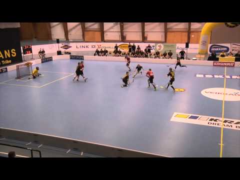 5.1.2014 Maalikooste Westend Indians - Happee