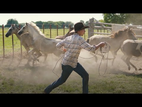 La Ñapa - Ariel Pérez (Video Oficial)