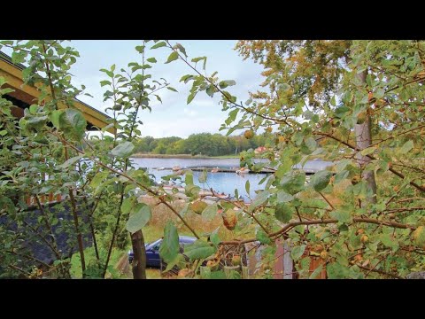 Stunning home in Ronneby with 3 Bedrooms, Sauna and WiFi, Ronneby, Sweden