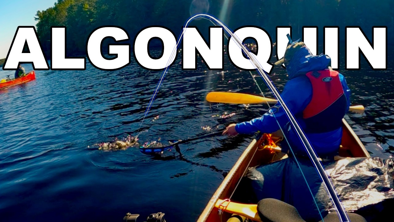Fish Started Biting On Our Way Home! | Algonquin Park Backcountry Fishing and Camping