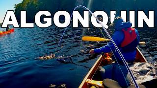 Fish Started Biting On Our Way Home! | Algonquin Park Backcountry Fishing and Camping