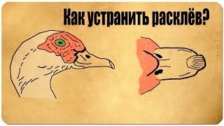 Почему утки клюют уток
