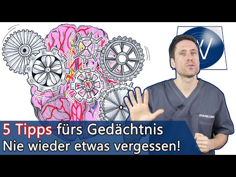 5 medical tips for a better memory: How to permanently increase your brain performance