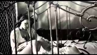 SHAHROOZ MONTANA BIGONAH MITOONI MUSIC VIDEO