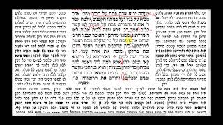 דף יומי מסכת מסכת נדרים דף לו - השיעור המשולב: לימוד מהתרשים וקריאה בגמרא